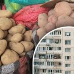 Dejte ji na brambory: snadný způsob, jak uchovat zeleninu na