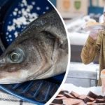 Jak si vybrat čerstvé ryby v obchodě: znaky, kterých si