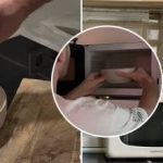 Mikrovlnná trouba bude čistá za pár minut: hostitelka prozradila úžasný