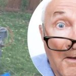 Podivný nález u stromu souseda zmátl: jaké tajemství skrývá. Podivný nález u stromu souseda zmátl: jaké tajemství skrývá.