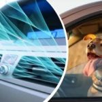 Vlna veder zasáhla Ukrajinu: jak rychle ochladit interiér auta bez