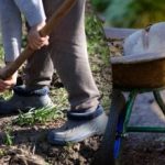 Výsevní kalendář na září 2025: co dělat na zahradě a